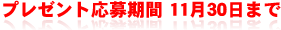 11月末日締切